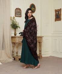 Women's Embroidered Velvet Shawl